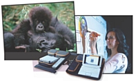 Speechi propose à ses clients de faire eux-mêmes un don pour la protection des gorilles lorsqu'ils louent un logiciel.
