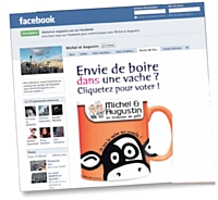 Déjà présente sur Viadeo, la marque a rejoint Facebook il y a un peu plus d'un an.