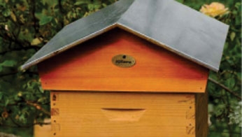 Entreprises et particuliers peuvent louer une ruche à l'année auprès d'Apiterra.