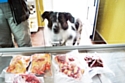 Un chien passe sa commande à la boucherie Beutefuchs
