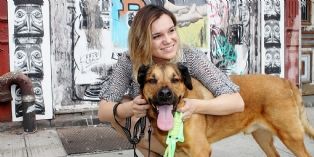 Paws en Vogue, cette start-up bio qui chouchoute les animaux