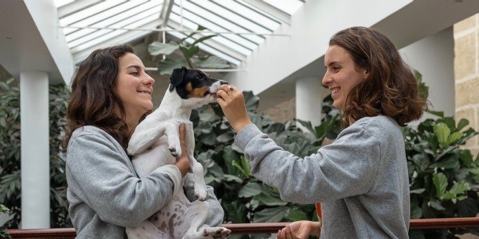 Avec Tomojo, les animaux ont leurs croquettes écolo