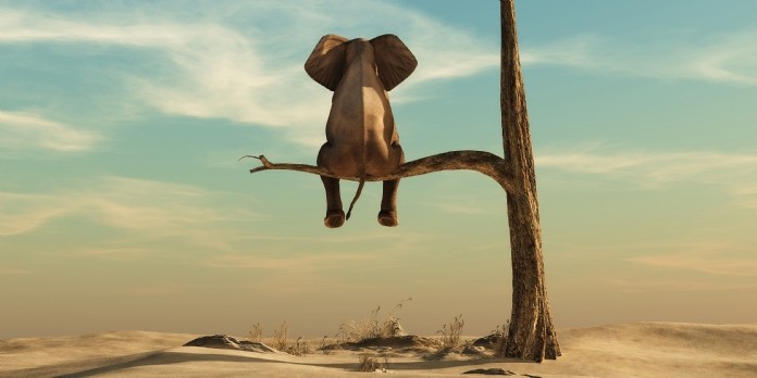 Gestion des risques : 9 dirigeants sur 10 confiants quant à leur avenir