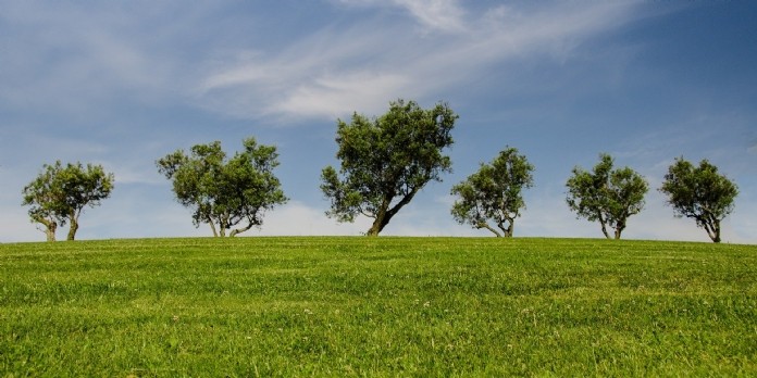 Comment éco-concevoir ses produits ?