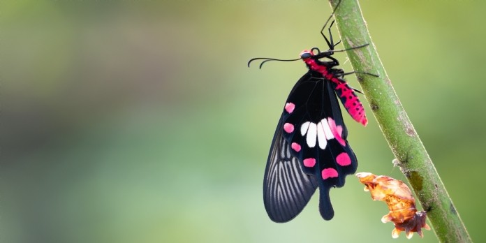 La méthode 'coup de poing' pour identifier sa stratégie de transformation ?