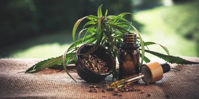 CBD : ruée vers le nouvel or vert