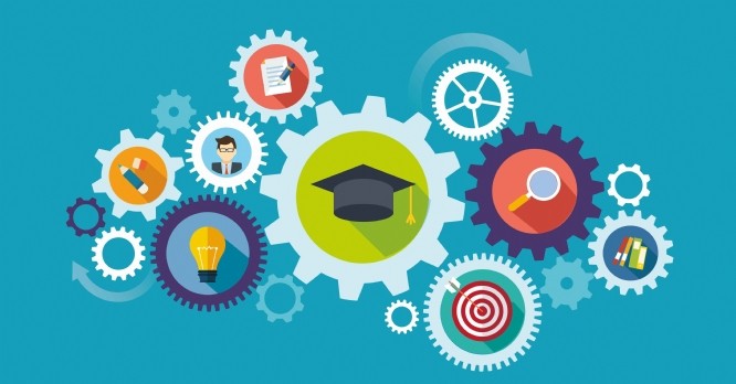Executive education : quand les grandes écoles forment les entrepreneurs