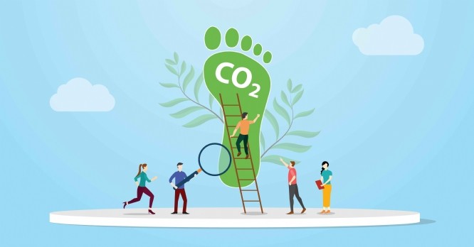Les start-up à impact continuent de se développer en France