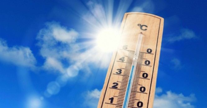 Canicule : quelles sont les mesures nécessaires pour protéger la santé des salariés ?
