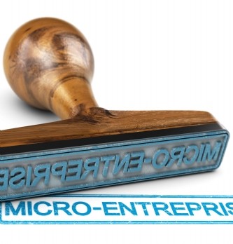 Quelles activités sont exclues de la micro-entreprise ?