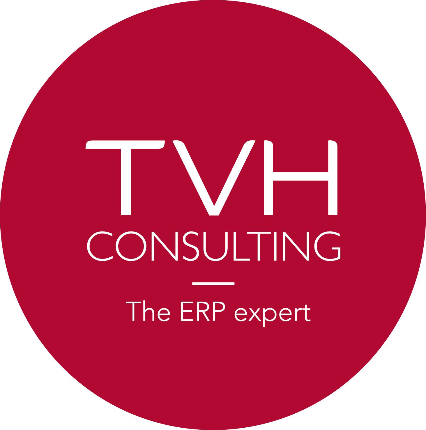 Hub 'TVH CONSULTING' - TVH Consulting