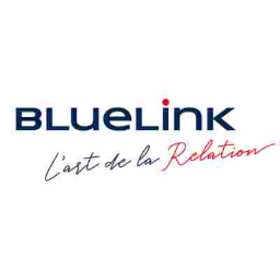 Hub 'BlueLink' - BlueLink